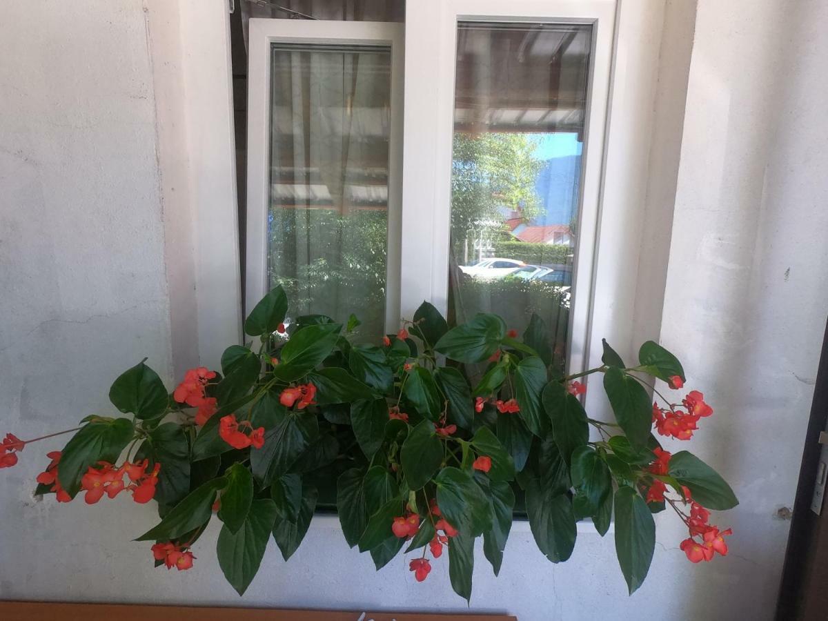 Apartamento Fontana Bovec Exterior foto